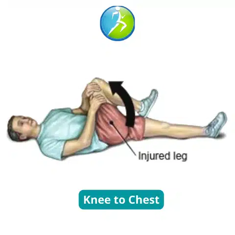 Knee To Chest | Hip Pain | Bay State Pain Associates