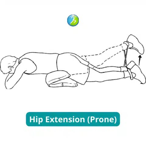 Hip Extension (Prone) | Hip Pain | Bay State Pain Associates