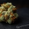 Extreme close-up of AK-47 Hybrid Strain cannabis bud showing frosty trichomes and orange pistils - Moonrock Online Shop