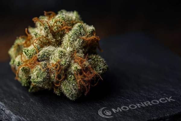 Extreme close-up of AK-47 Hybrid Strain cannabis bud showing frosty trichomes and orange pistils - Moonrock Online Shop