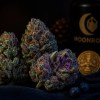 Close-up of frosty Blueberry hybrid cannabis buds with purple hues beside fresh blueberries and Moonrock apothecary jar - Award-winning indica strain