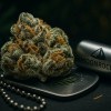 Premium OG Kush Indica Hybrid on military dog tags Moonrock Online Shop