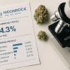 Lab-tested White Widow strain showing 24.3% THC and terpene profile with microscope – Buy White Widow Strain at Moonrock