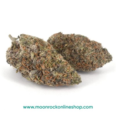 Premium White Runtz hybrid cannabis strain with frosty trichomes | Moonrock Online Shop