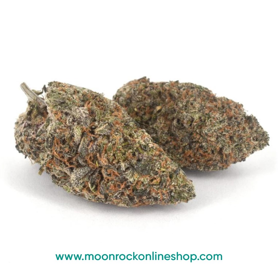 Premium White Runtz hybrid cannabis strain with frosty trichomes | Moonrock Online Shop