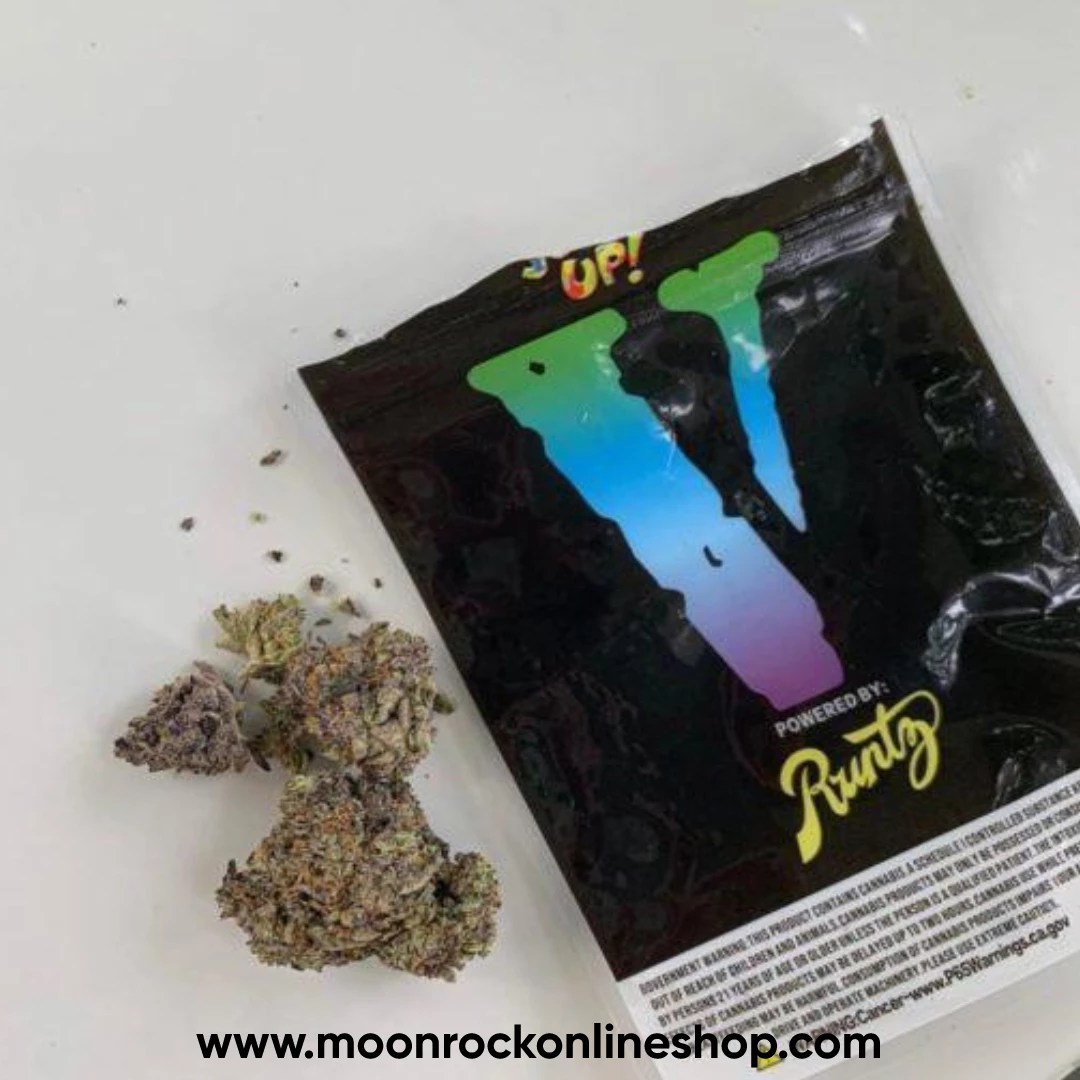 “Vlone Runtz 2025 hybrid strain for creative focus – Lab-tested 28% THC with tropical flavor