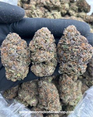 Sharklato Runtz 2025 Hybrid strain close-up in glass jar | Lab-tested organic cannabis