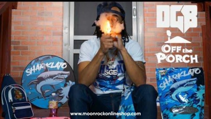 Sharklato Runtz 2025 Hybrid strain close-up in glass jar | Lab-tested organic cannabis