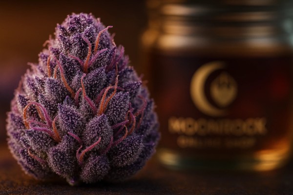 Berner Cookies Grenadine Strain premium cannabis nugs with violet trichomes - Moonrock Online Shop