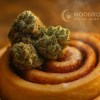 Berner Cookies Sticky Buns cannabis nugs on cinnamon roll with Moonrock Online Shop hologram