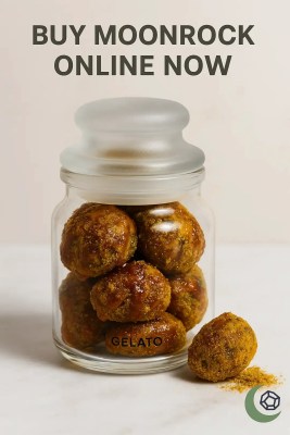 Buy Moonrock Online Now – Gelato strain nug dripping with THC oil and coated in golden kief inside glass jar