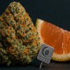 Buy Pomelo Cookies Online - Frosted 26% THC Berner Cookies Hybrid | Moonrock