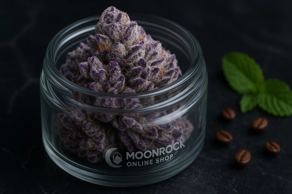 Premium Gelatti Hybrid Strain in Glass Jar | Moonrock Online Shop