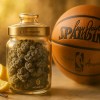 Lab technician examining Gary Payton Cookies Strain trichomes under light with Moonrock logo on lab coat