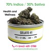Gelato 41 Cannabis – Buy Gelato 41 Online for Sweet Citrus Flavors