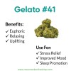 Gelato #41 strain infographic showing flavor profile, benefits, and uses with Moonrock Online Shop logo.