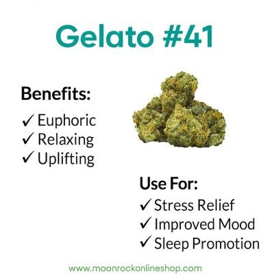 Gelato #41 strain infographic showing flavor profile, benefits, and uses with Moonrock Online Shop logo.