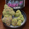Exotic Gelato #41 cannabis buds in a jar lid beside branded container, showcasing frosty trichomes and vibrant colors – Moonrock Online Shop