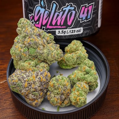Exotic Gelato #41 cannabis buds in a jar lid beside branded container, showcasing frosty trichomes and vibrant colors – Moonrock Online Shop