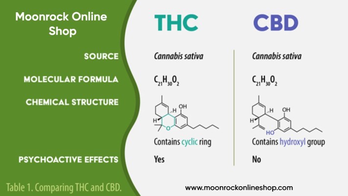 CBD and Cannabis Education: CBD vs THC comparison infographic explaining differences in effects and legality