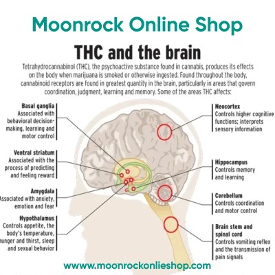THC vs CBD comparison infographic showing key differences like psychoactivity, legality, and medical uses.