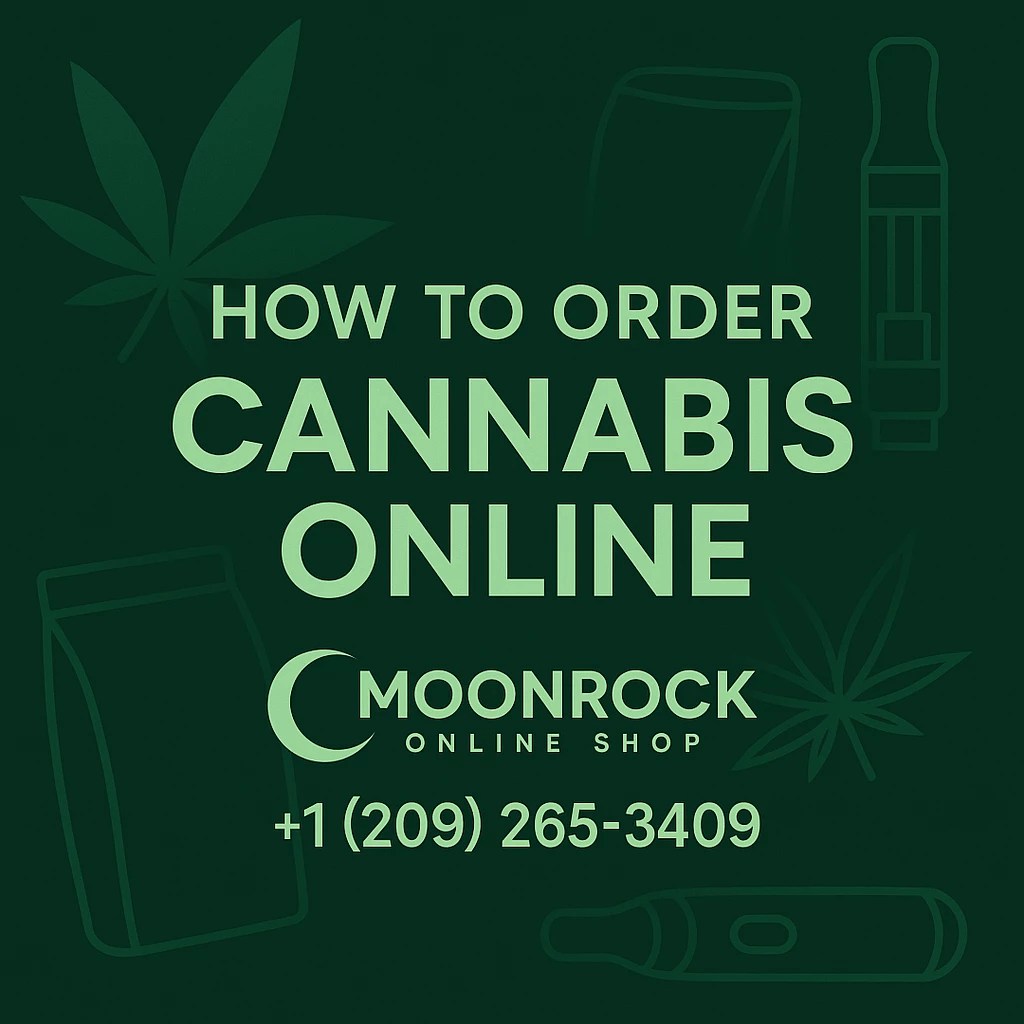 Moonrock Online Shop logo featuring a sage-green crescent moon and navy geometric rock icon with accompanying text