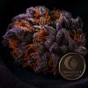 Buy Granddaddy Purple Indica - 28.3% THC Frosted Buds | Moonrock Online Shop