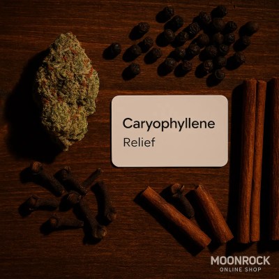 Cannabis bud with black peppercorns, cloves, and cinnamon sticks symbolizing Caryophyllene terpene, known for spicy aroma and relief effects at MoonRock Online Shop