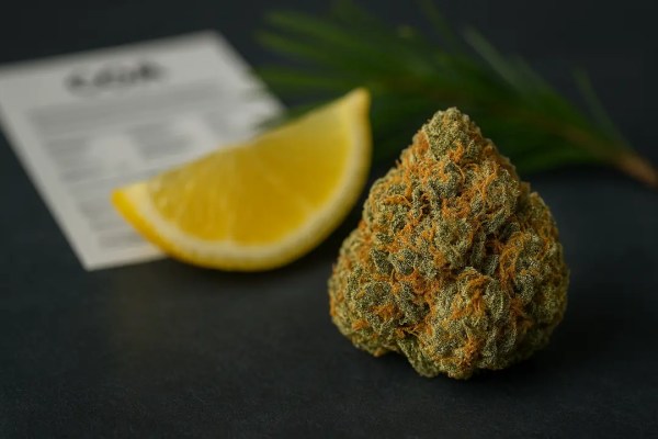 Close-up Colombian Gold cannabis flower on dark backdrop, showing bright citrus-pine trichomes; COA-verified from Moonrock Online Shop.
