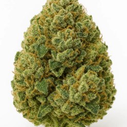 Stack or Starve Gumbo cannabis bag with Moonrock Online Shop branding on a white background