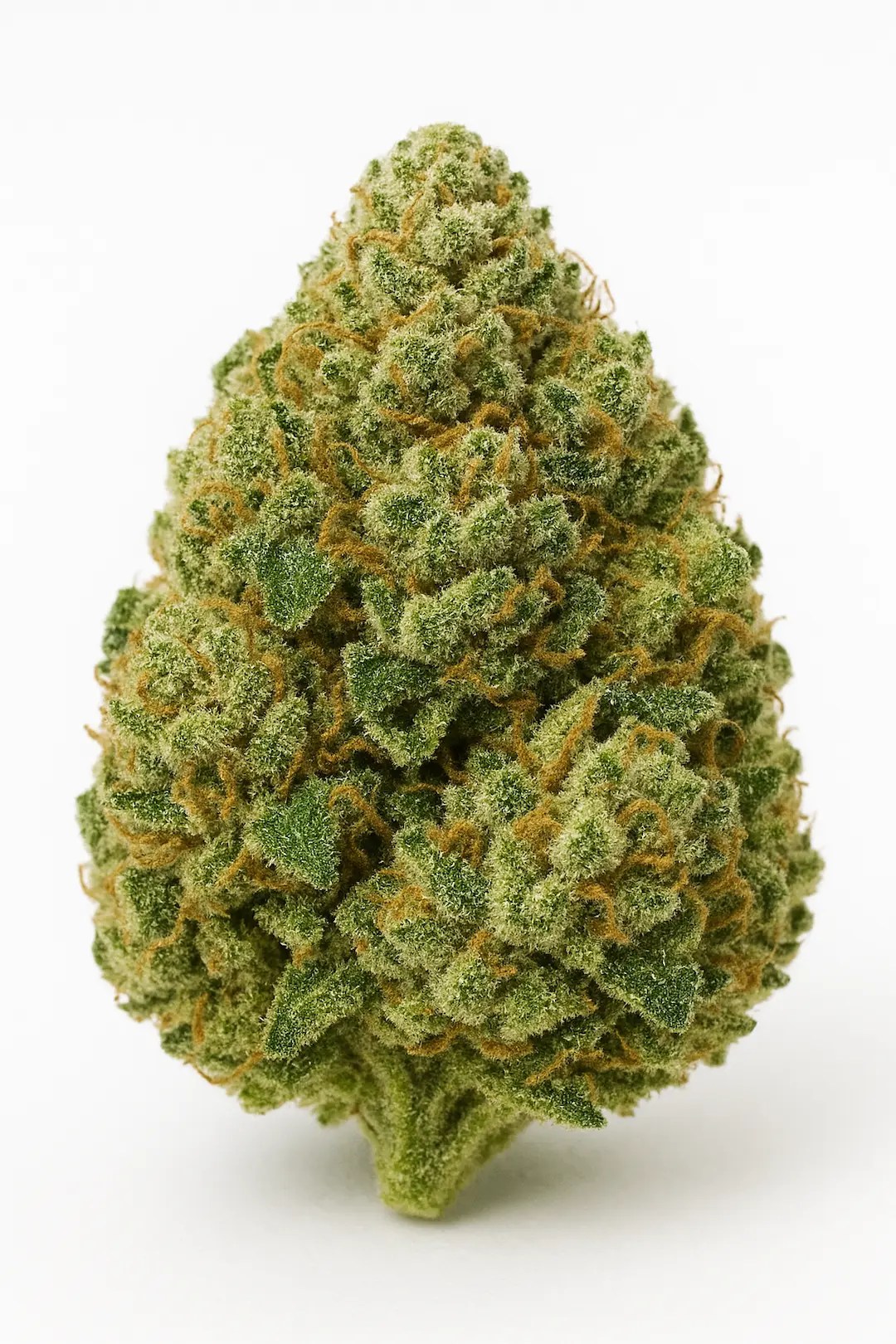 Stack or Starve Gumbo cannabis bag with Moonrock Online Shop branding on a white background