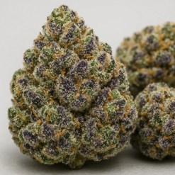 Macro close-up of RS11 cannabis flower showing frosty trichomes, purple highlights, and dense nug structure.