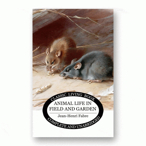 Animal Life in Field and Garden