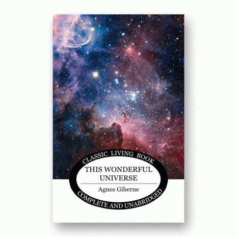 This Wonderful Universe