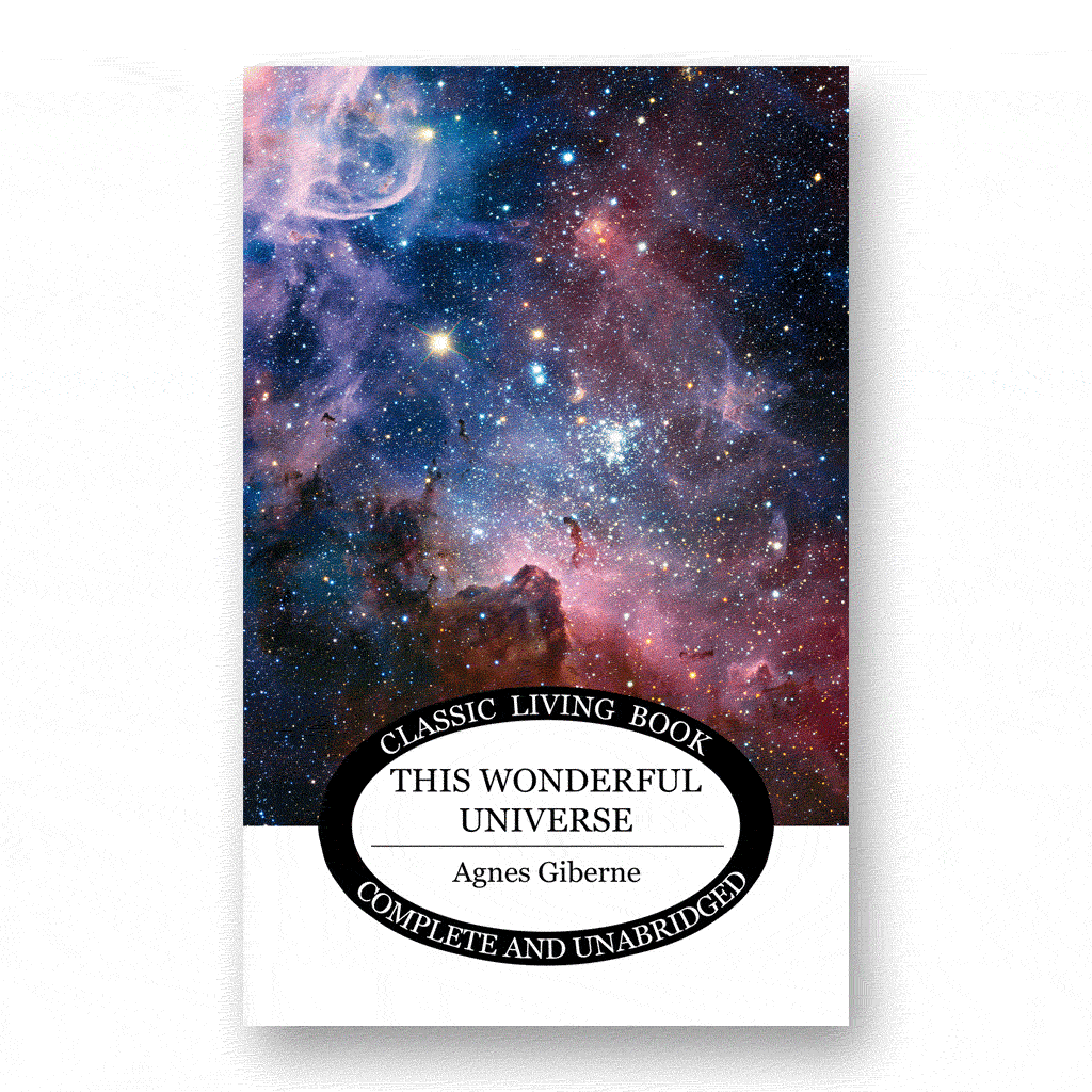 This Wonderful Universe