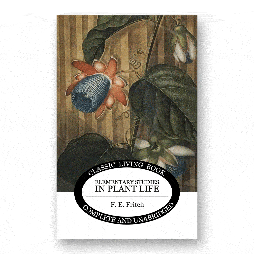 Elementary Studies in Plant Life