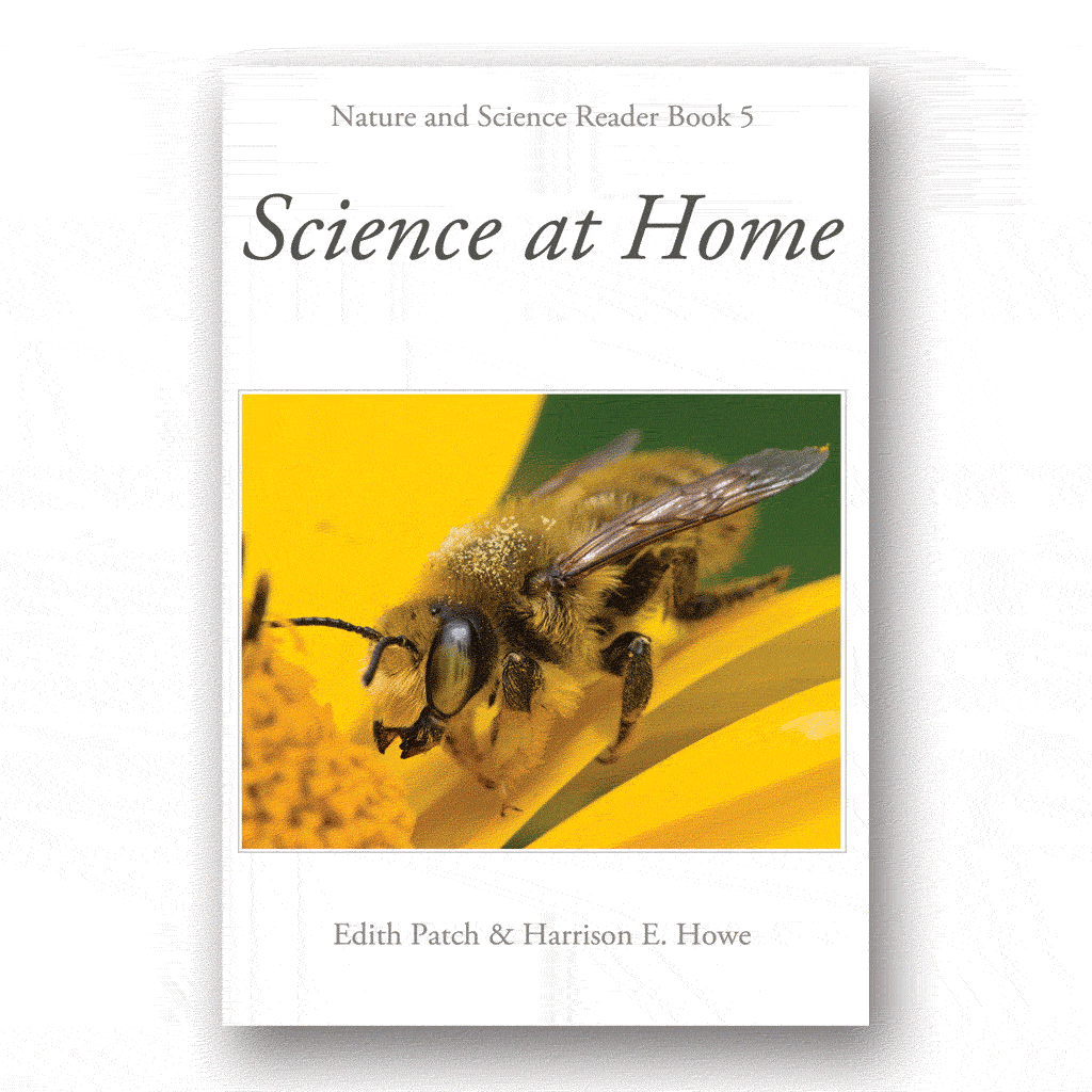 Science at Home