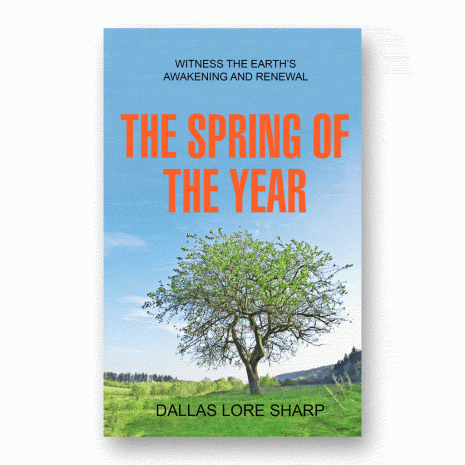The Spring of the Year