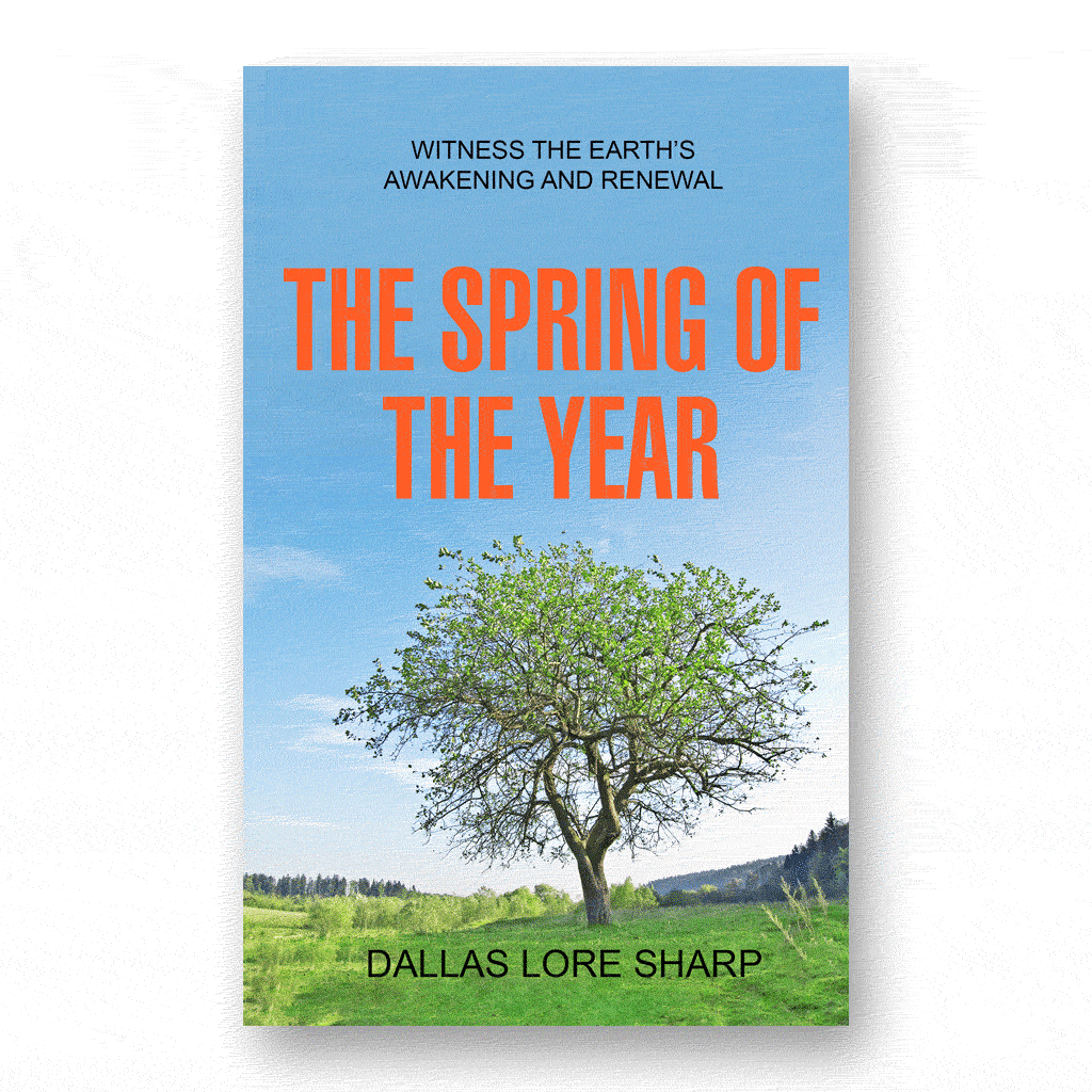 The Spring of the Year