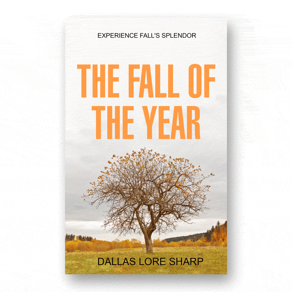 The Fall of the Year