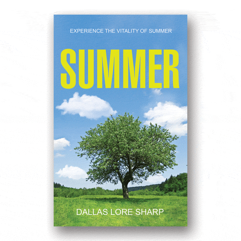 Summer