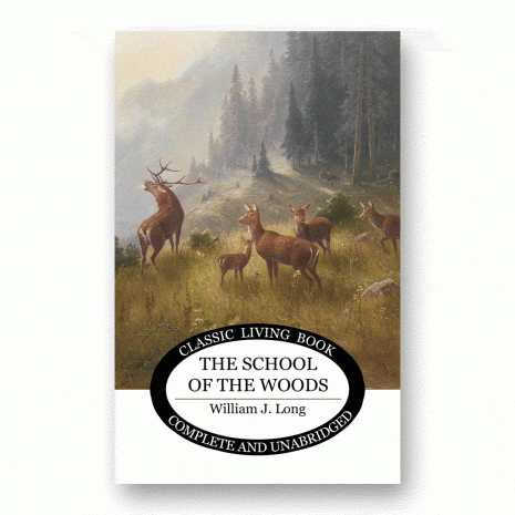 The School of the Woods