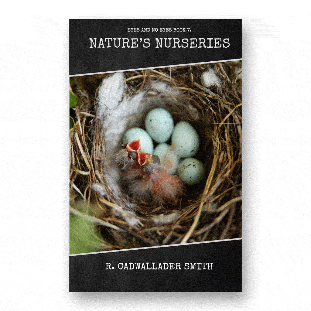 Natures Nurseries
