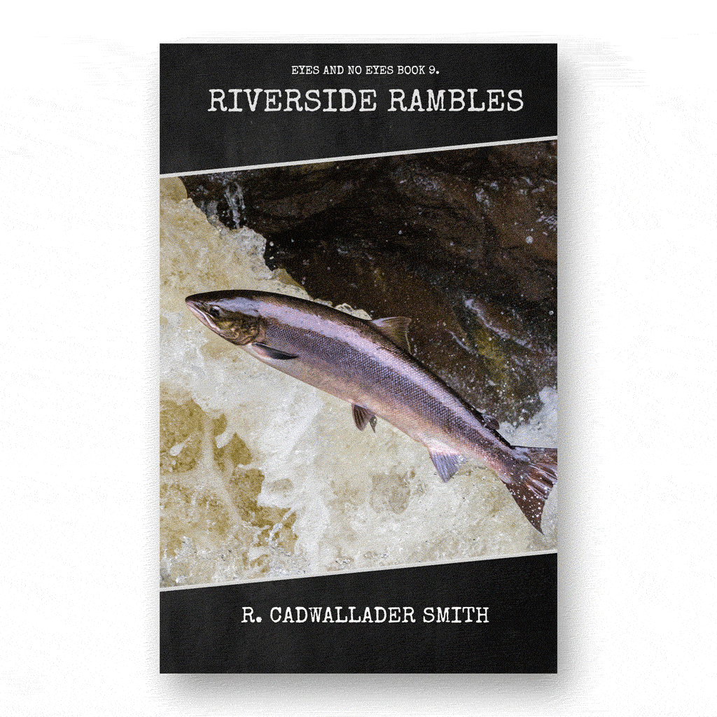 Riverside Rambles