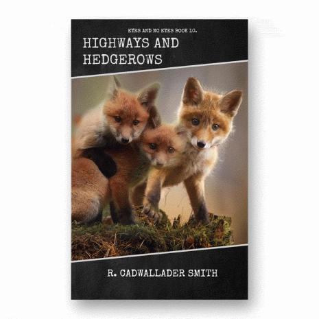 Highways and Hedgerows