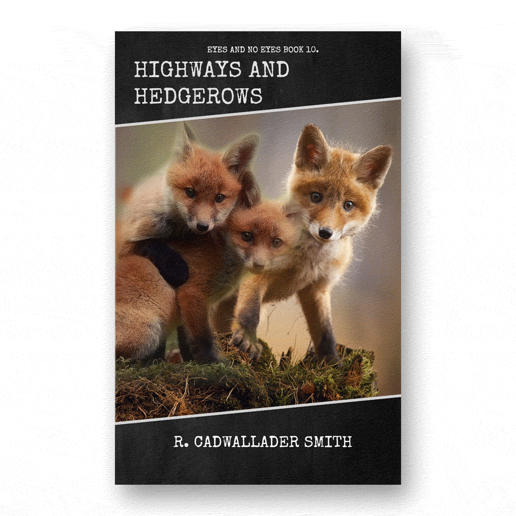 Highways and Hedgerows