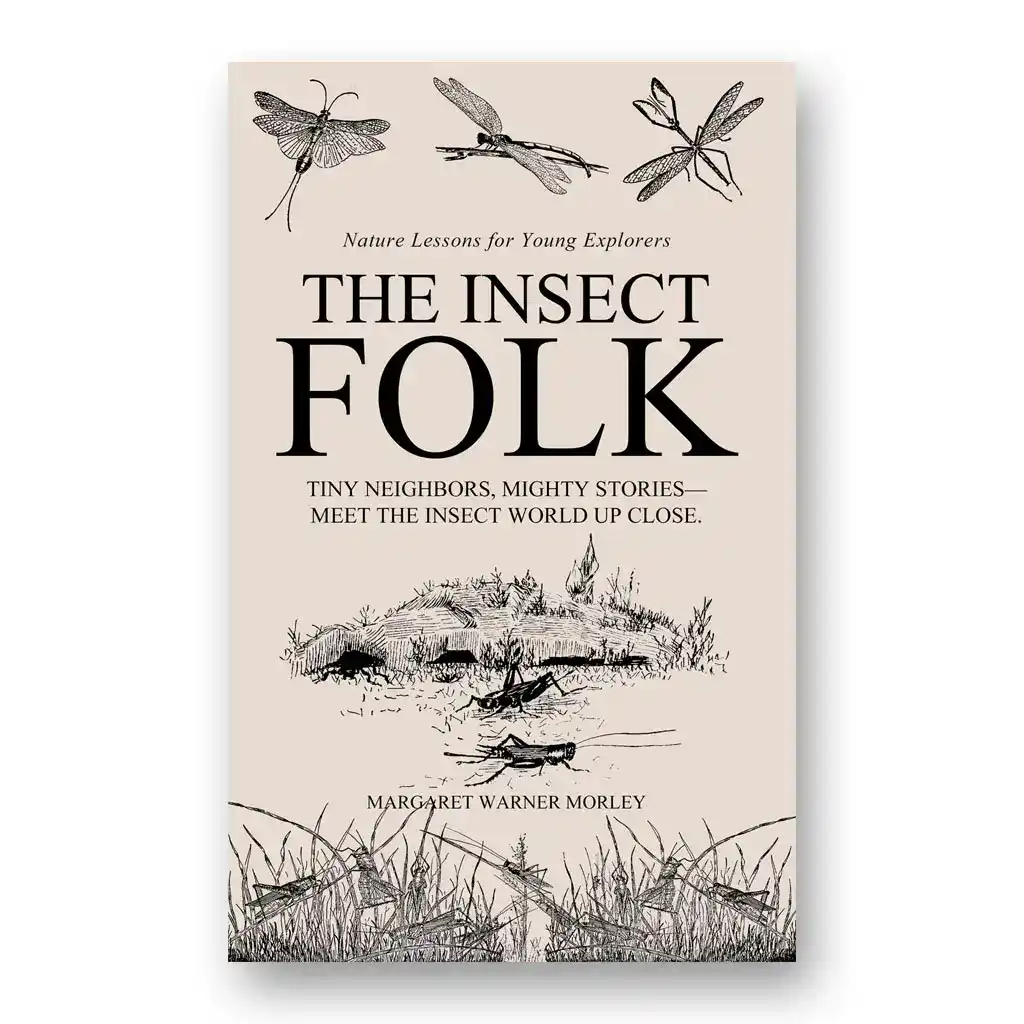 The Insect Folk