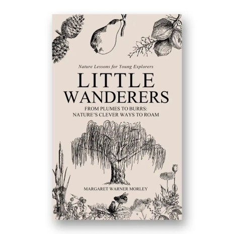 Little Wanderers - Main