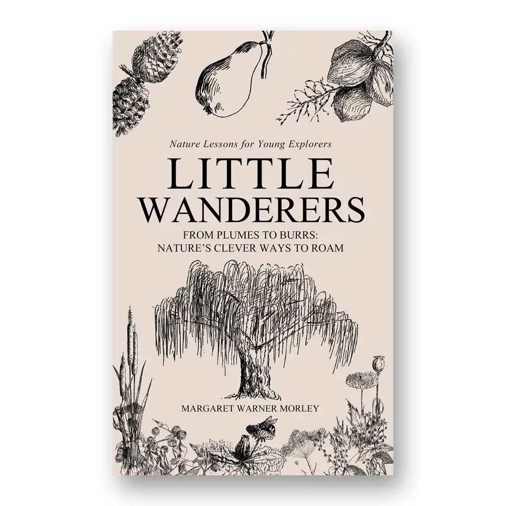 Little Wanderers
