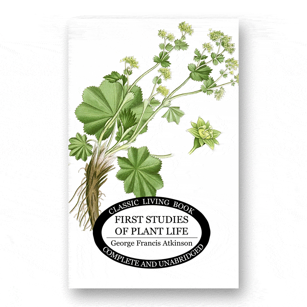 First Studies of Plant Life